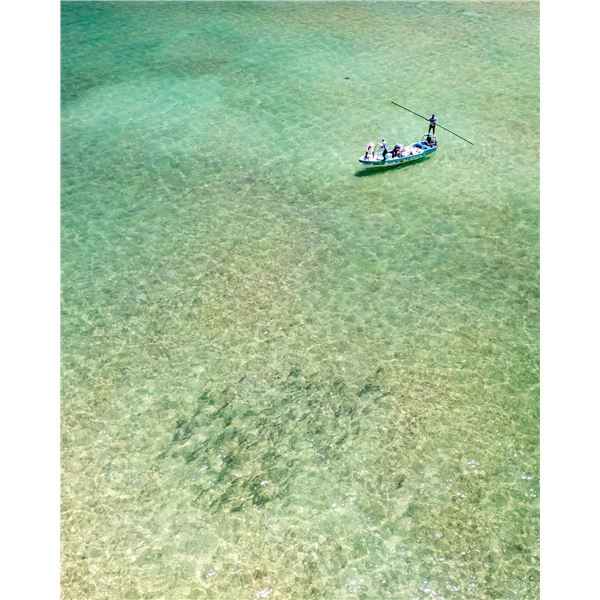 Permit/Tarpon Fishing Trip in Mexico