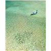 Image 1 : Permit/Tarpon Fishing Trip in Mexico