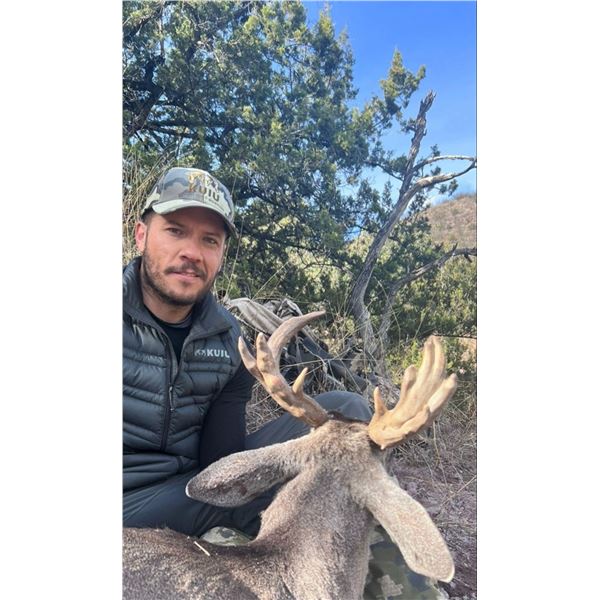Old Mexico Coues Deer