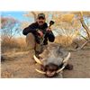 Image 10 : South Africa (Trophy Credit)