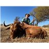 Image 6 : South Africa (Trophy Credit)