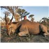 Image 7 : South Africa (Trophy Credit)