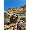 Image 1 : Sonora Desert Bighorn Ram