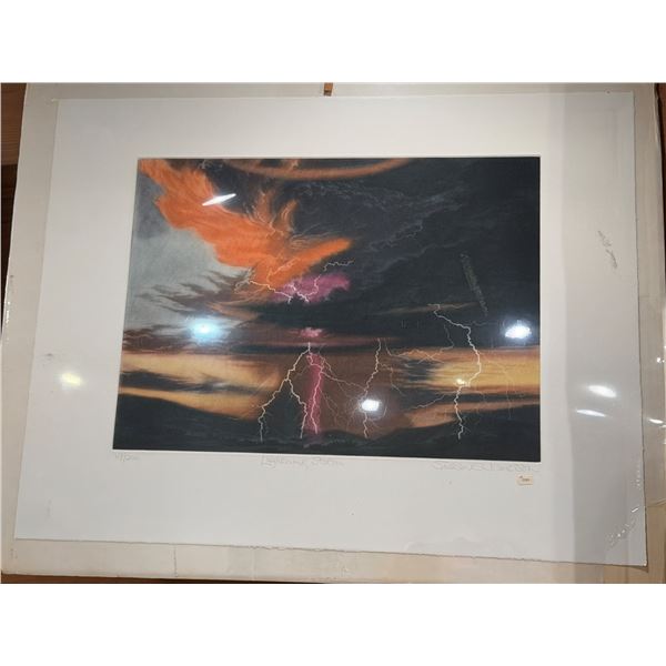 Lightning Storm Artwork Numbered 167/200 by Artist Susan E. Jameson