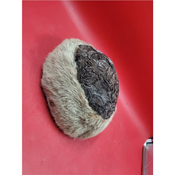 VTG Fur Hat
