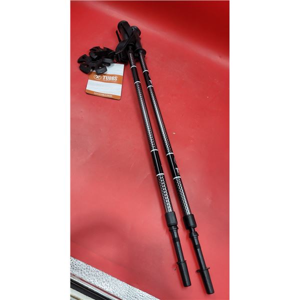 Pair of Walking Sticks
