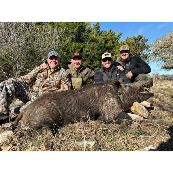 2 Day - California Hog hunt for 4 people