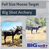 Image 1 : Full Sized Moose Target by Big Shot