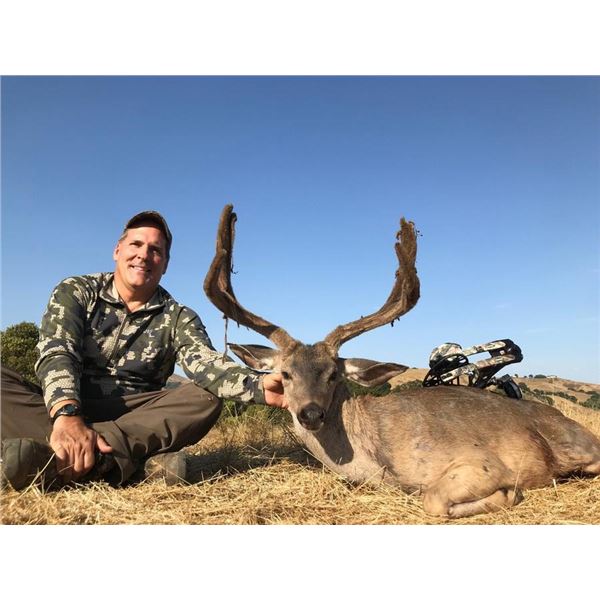 5 Day California Blacktail Deer Hunt