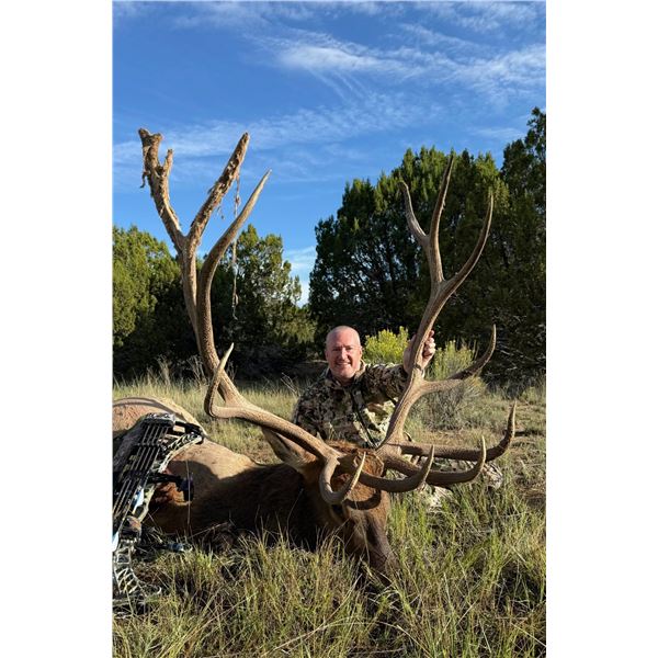 12 Day Trophy Velvet Bull Elk on the Acoma Pueblo
