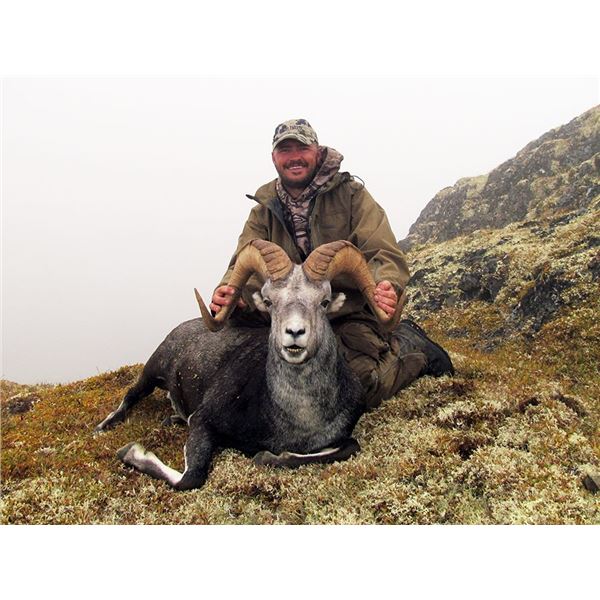 14 Day - Archery Only Stone Sheep