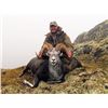 Image 1 : 14 Day - Archery Only Stone Sheep