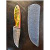 Image 1 : Handmade Damascus Steel Knife & Sheath