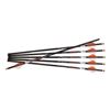 Image 1 : RAVIN ARROWS 500GR HD 6PK .001