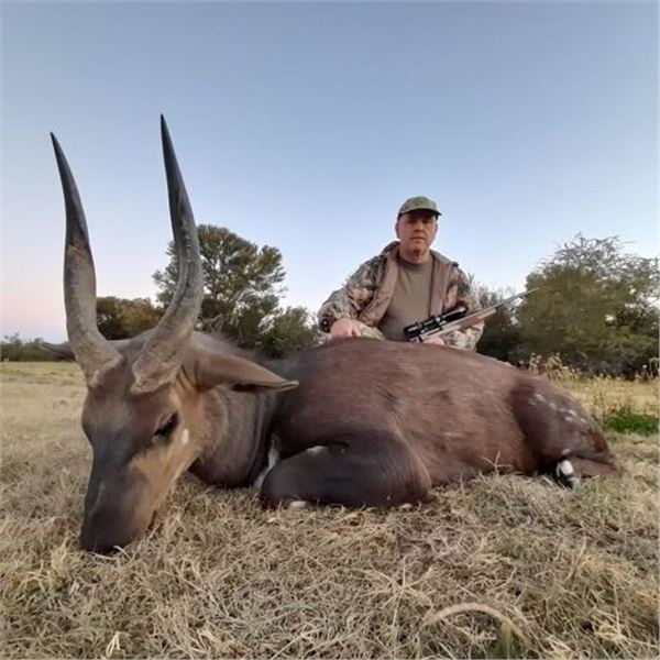 Spiral Horned Slam South African Hunt for 1 hunter 10 day South Africa 2026,2027