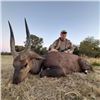 Image 1 : Spiral Horned Slam South African Hunt for 1 hunter 10 day South Africa 2026,2027