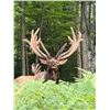 Image 7 : Trophy Bull Elk 350-inch Michigan Bull Elk