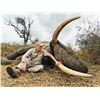 Image 12 : Maitengwe Executive Jumbo Bull Elephant hunt for 1 hunter 10 Days September- October 2027