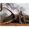 Image 17 : Maitengwe Executive Jumbo Bull Elephant hunt for 1 hunter 10 Days September- October 2027