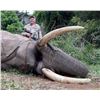 Image 19 : Maitengwe Executive Jumbo Bull Elephant hunt for 1 hunter 10 Days September- October 2027