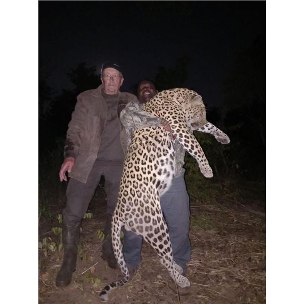 14 Day Leopard & Buffalo Hunt 1 hunter 2026 Chirisa Zimbabwe