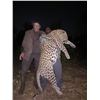 Image 1 : 14 Day Leopard & Buffalo Hunt 1 hunter 2026 Chirisa Zimbabwe