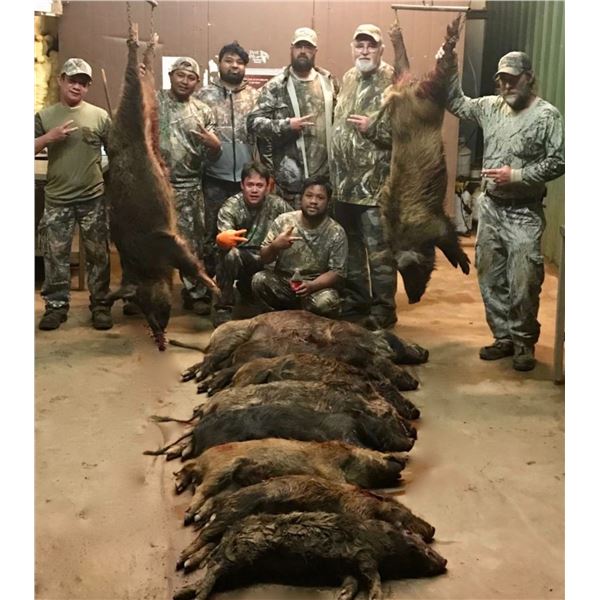 Texas Hog Hunts