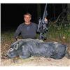 Image 3 : Texas Hog Hunts