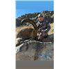 Image 5 : Mexican aoudad hunt for 2 hunters