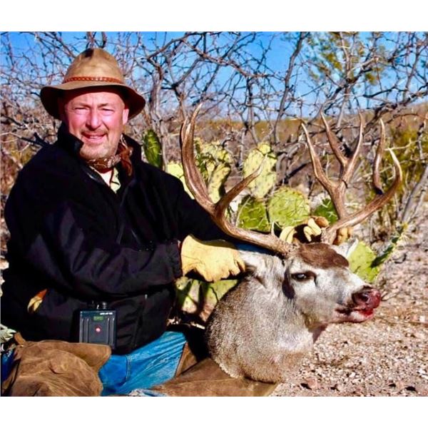 5 day and 6 night trophy Mule deer hunt for 1 hunter