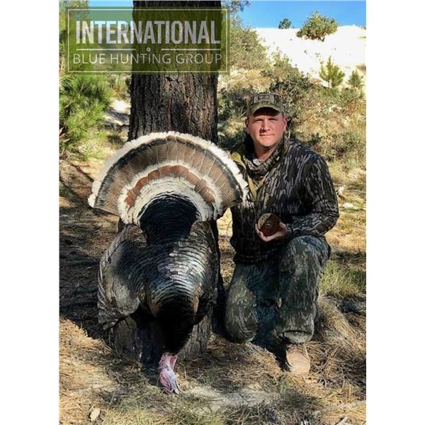 4-day / 5-night Gould’s turkey hunt for 2 hunters