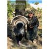 Image 1 : 4-day / 5-night Gould’s turkey hunt for 2 hunters