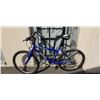 Image 1 : BLUE ARASHI BIKE