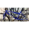 Image 3 : BLUE ARASHI BIKE