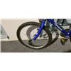 Image 4 : BLUE ARASHI BIKE