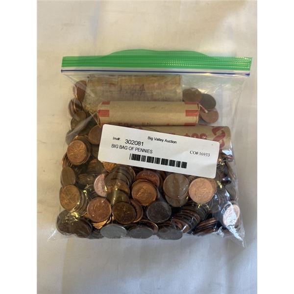 BIG BAG OF PENNIES