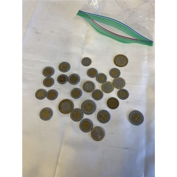 BAG OF WORLD COINS