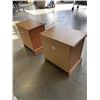 Image 5 : PAIR OF 3 DRAWER NIGHTSTANDS