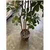 Image 3 : 6FT ARTIFICIAL PLANT