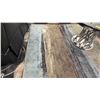 Image 2 : PATTERNED AREA RUG