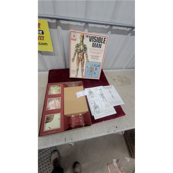 Renwal "the Visible Man" No. 800 Anatomy Assembly Kit with Skeleton, Organs & Instructions