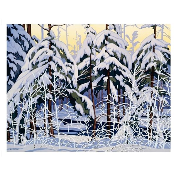 A.J. Casson ÒSnow-Laden SpruceÓ 16_20_ Ultra Fine