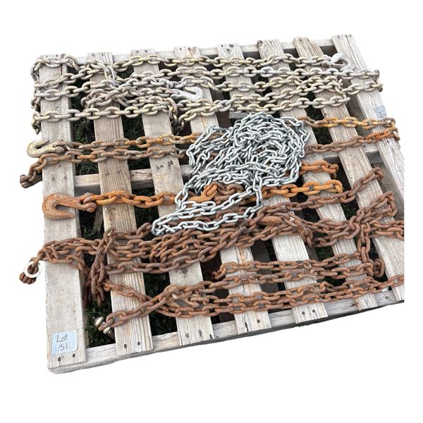 Assortment of logging chains