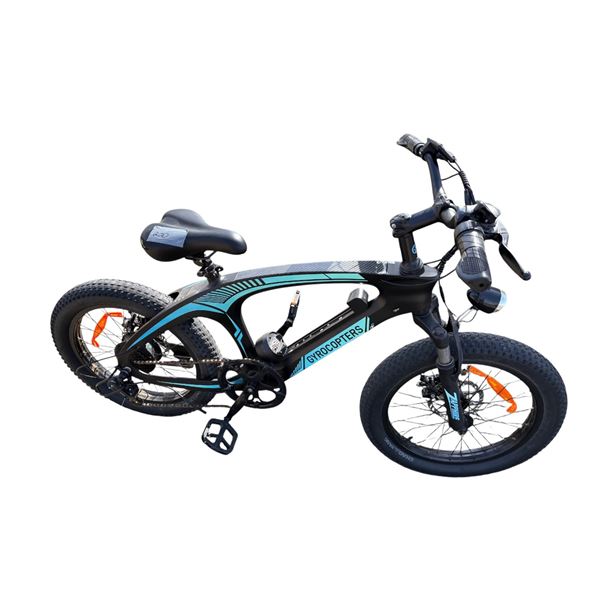 Gyrocopter electric bike