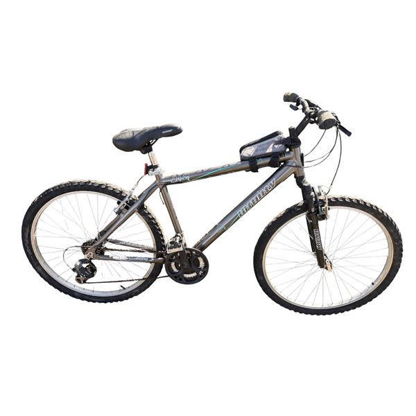 Grey Infinity bike