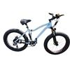 Image 1 : White Fat tire bike