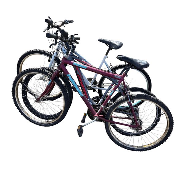 White Ozark Trail, Grey Boundary Trail, Red Pathfinder bikes