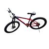 Image 1 : Redtail Mountain bike