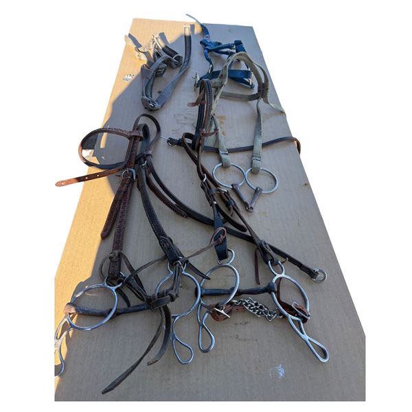 2 Halters, 3 Bridles with twisted loose ring snaffle