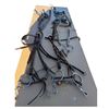 Image 1 : 2 Halters, 3 Bridles with twisted loose ring snaffle